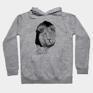 Lion portrait Hoodie